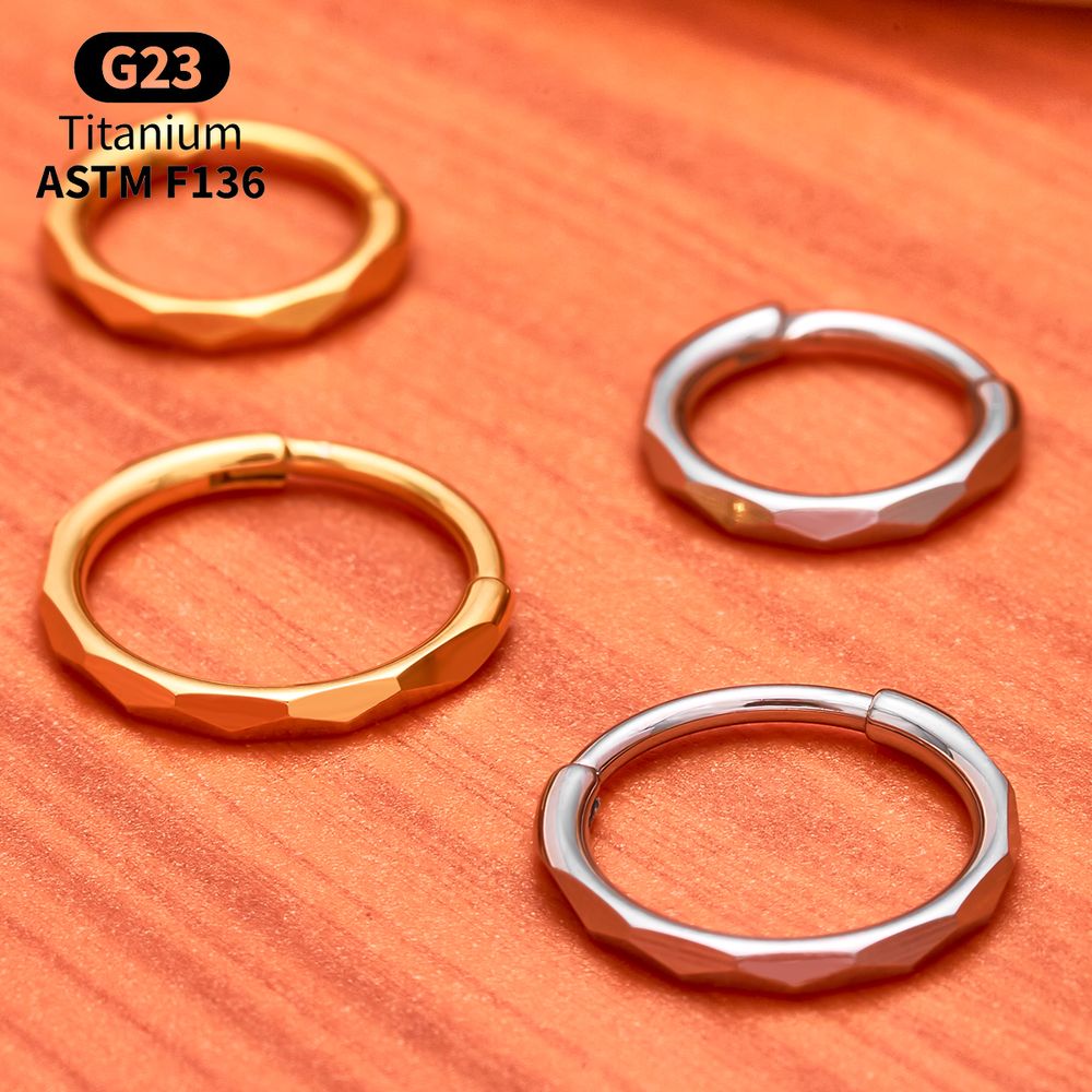 G23 티타늄 패싯 큐빅 지르코니아 힌지드 세그먼트 링 - Conch Earring Hoop 리뷰 및 가격