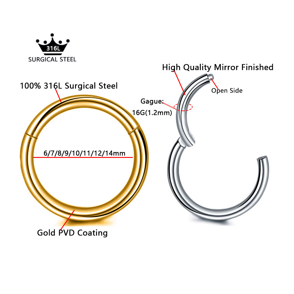 316L 외과 강철 리모콘 세그먼트 코 링 기본 Sep - Conch Earring Hoop 리뷰 및 가격
