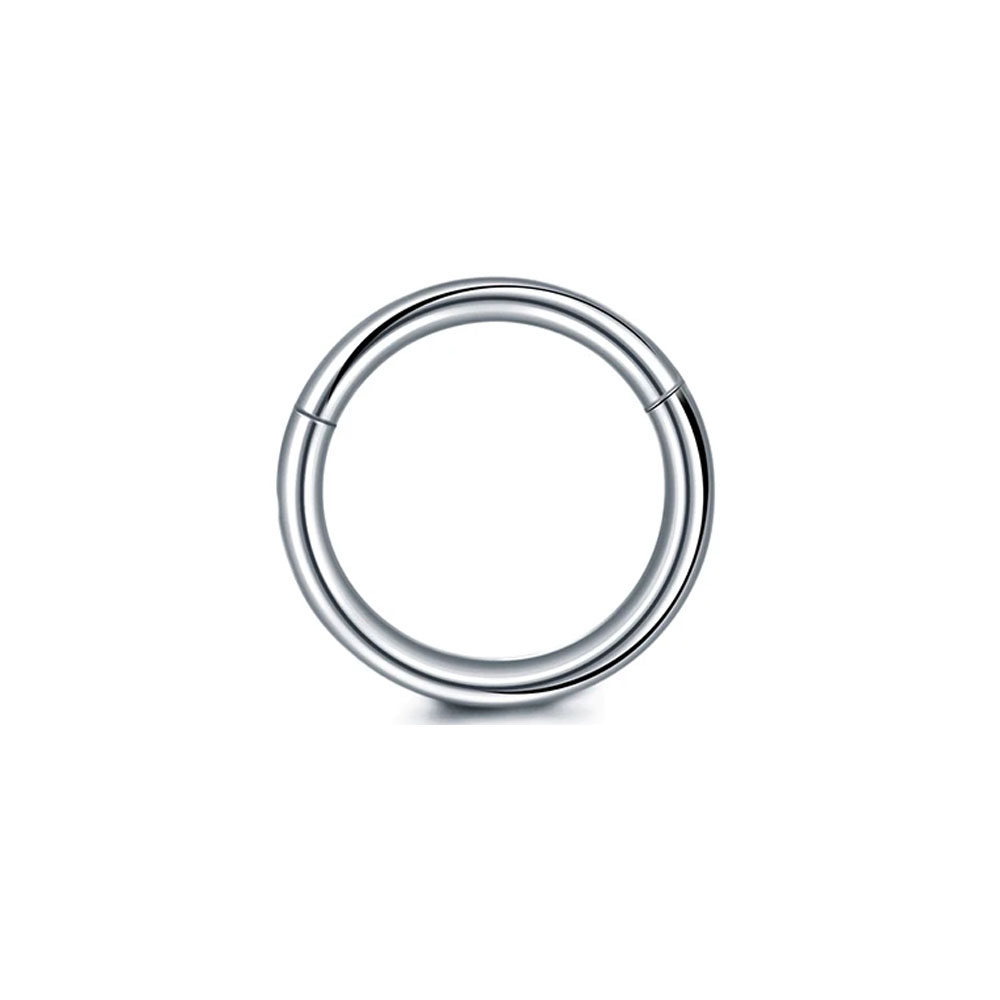 316L 외과 강철 리모콘 세그먼트 코 링 기본 Sep - Conch Earring Hoop 리뷰 및 가격