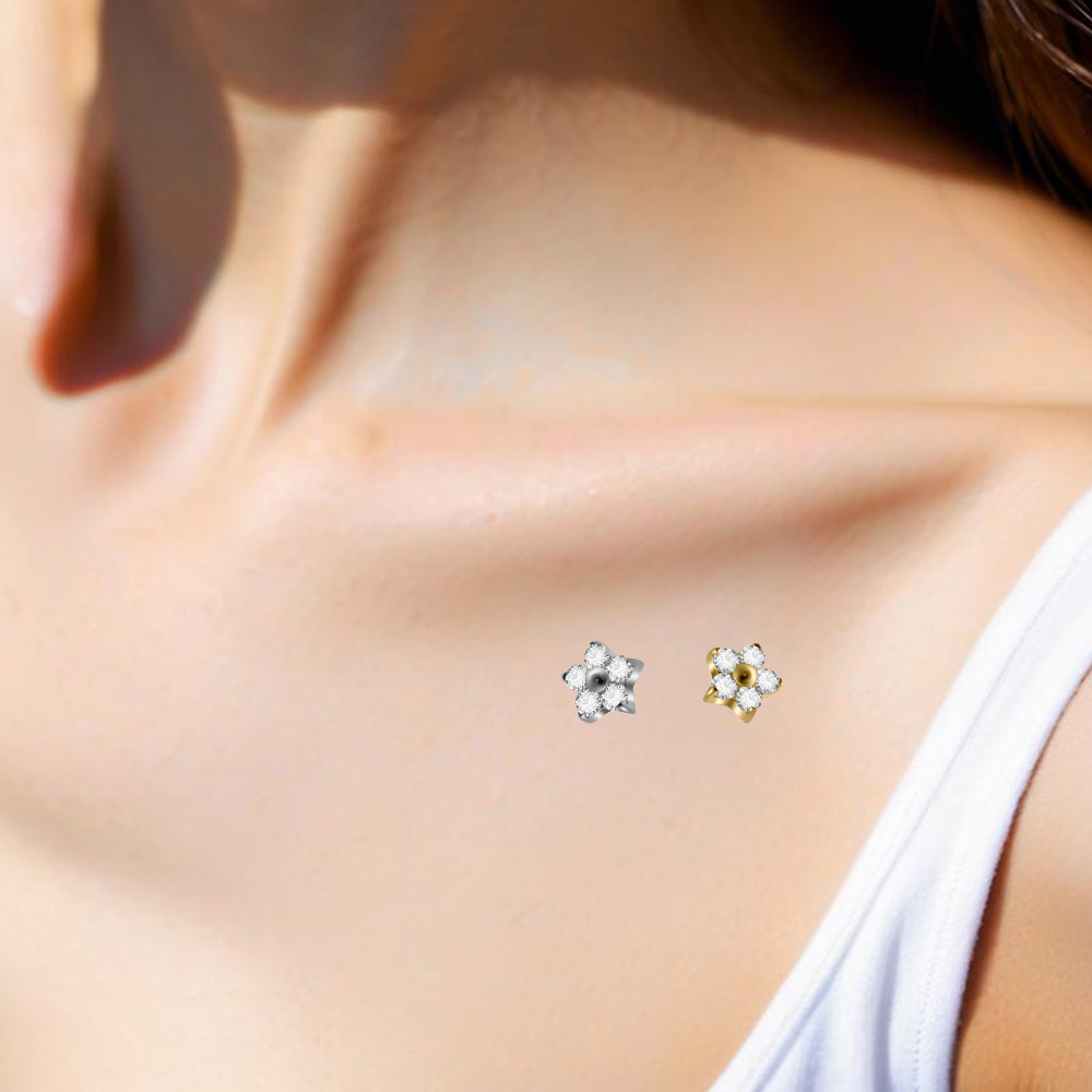1개 G23 임플란트 티타늄 더말 앵커 내부 나사형 C - Body Jewelry Dermal 리뷰 및 가격